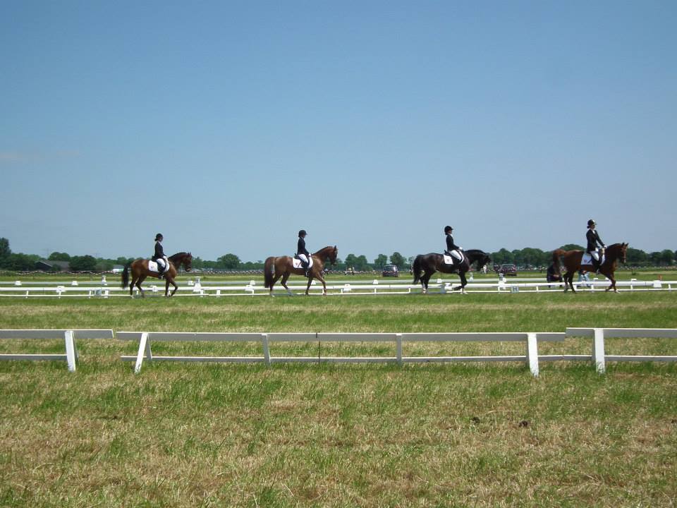 Hippisch Outdoor Rosmalen