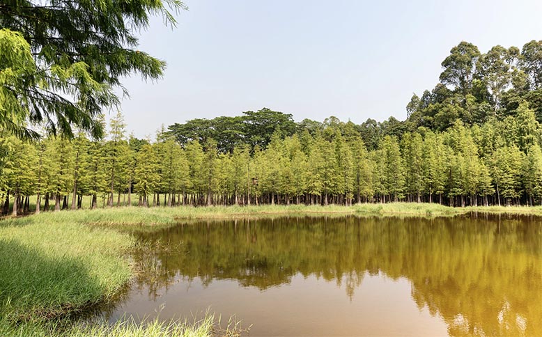 Gebiedsontwikkeling Alem voor meer natuur, recreatie en toerisme Alem