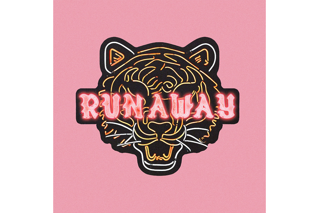 Flitsfeitje: Runaway van Onerepublic