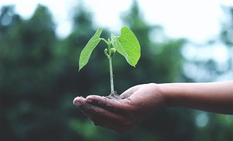 Nationale Klimaatweek ook weer in Zaltbommel