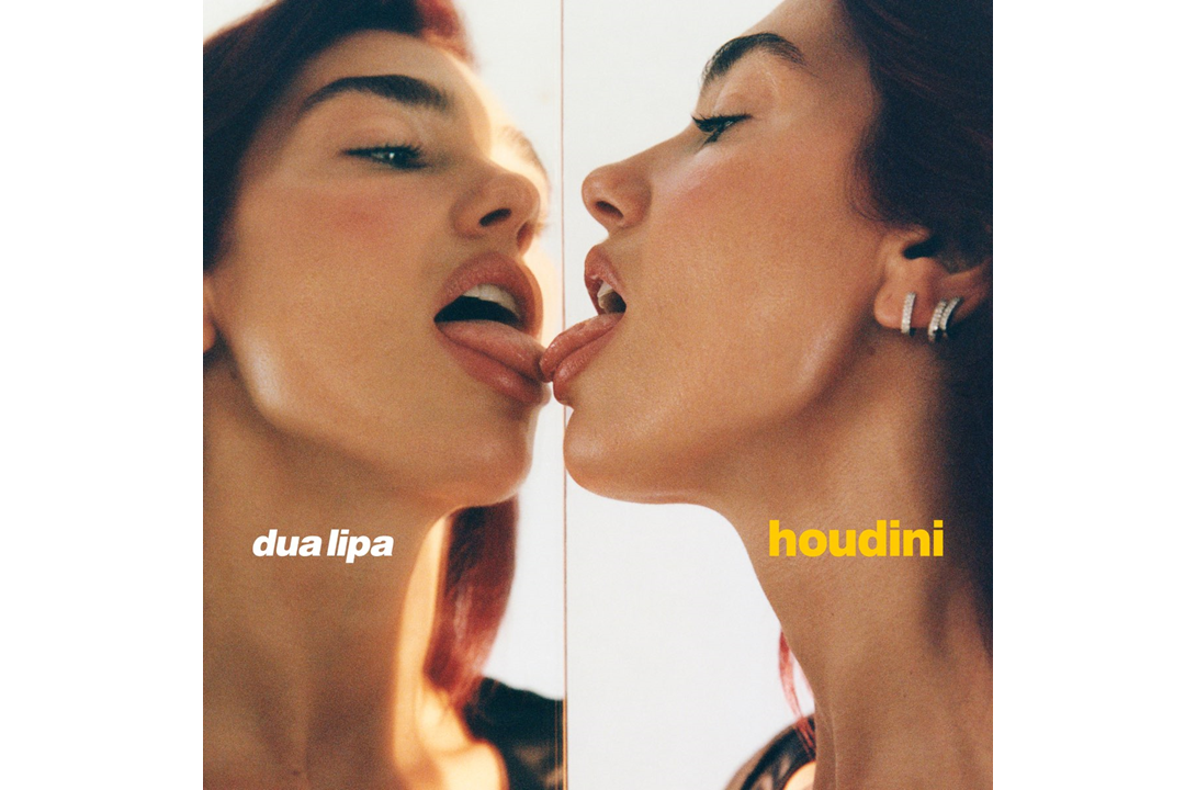 Flitsfeitje Dua Lipa van Houdini