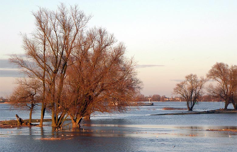 Nieuwe hoogwatergolf rond jaarwisseling 