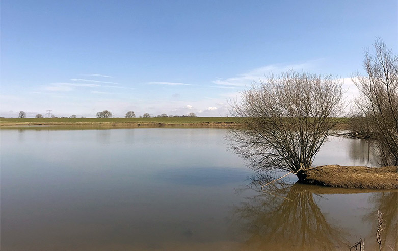 Piek hoogwater eind deze week in de regio verwacht Bommelerwaard