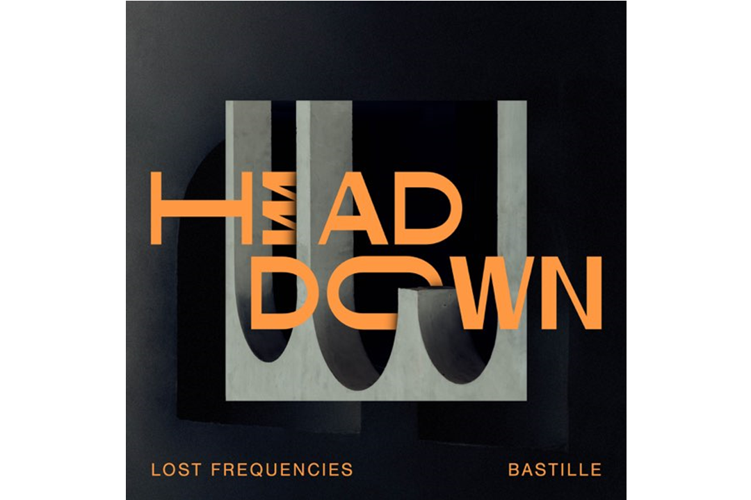 Flitsfeitje Lost Frequencies & Bastille Van Head Down
