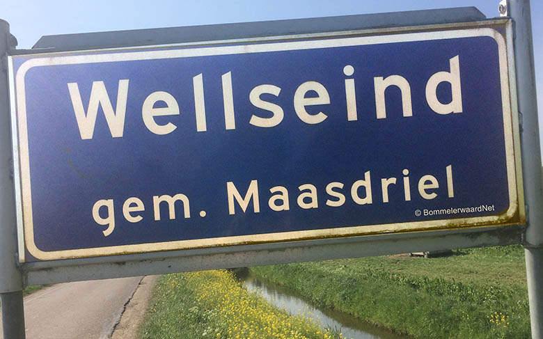 Sluipverkeer door Wellseind veroorzaakt (te) veel incidenten