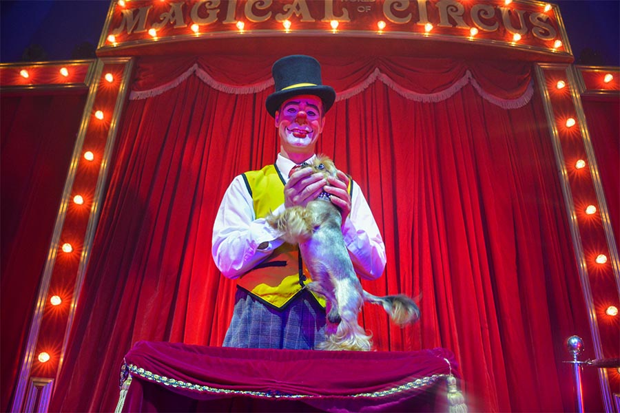 Het circus is in de stad!