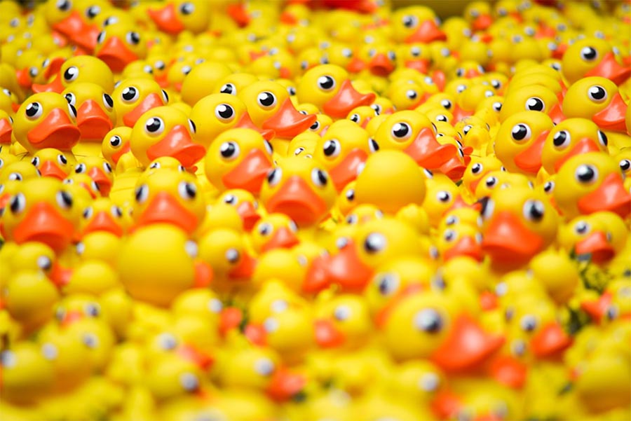Doel Duckrace 2024 bekend