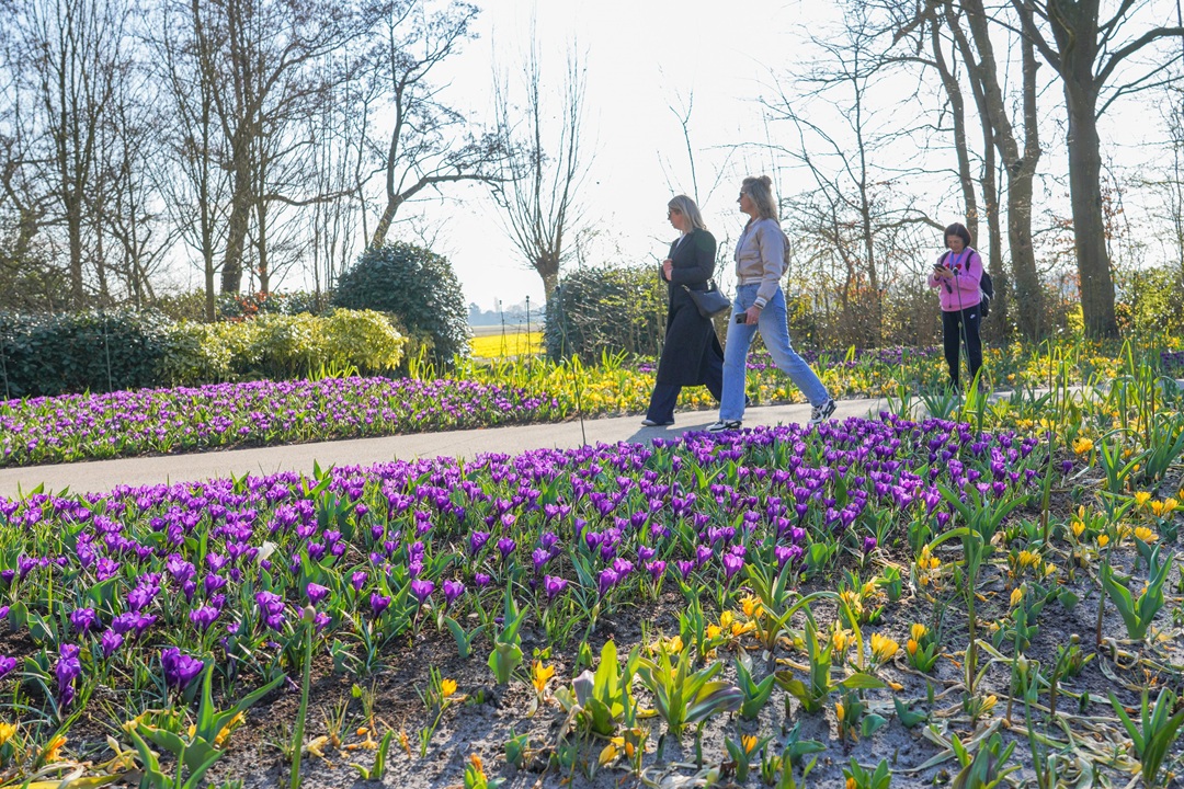Het is lente: Keukenhof is weer open en dat is goed voor het brein