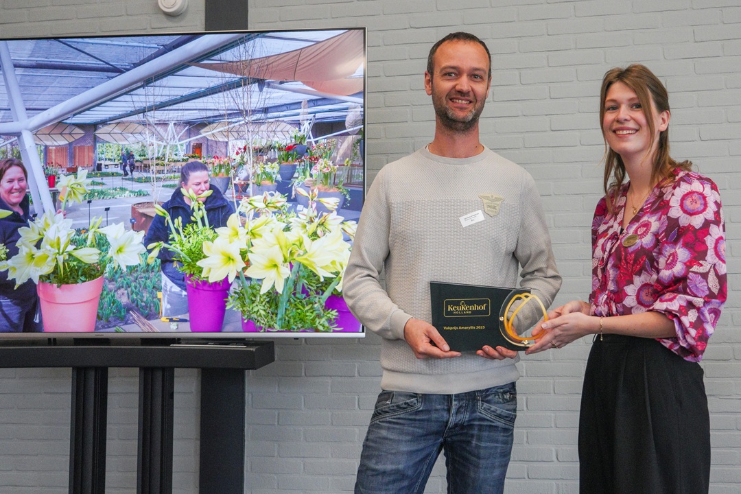 Prijsuitreiking keuring Amaryllis tijdens de jaarlijkse productdag in Keukenhof