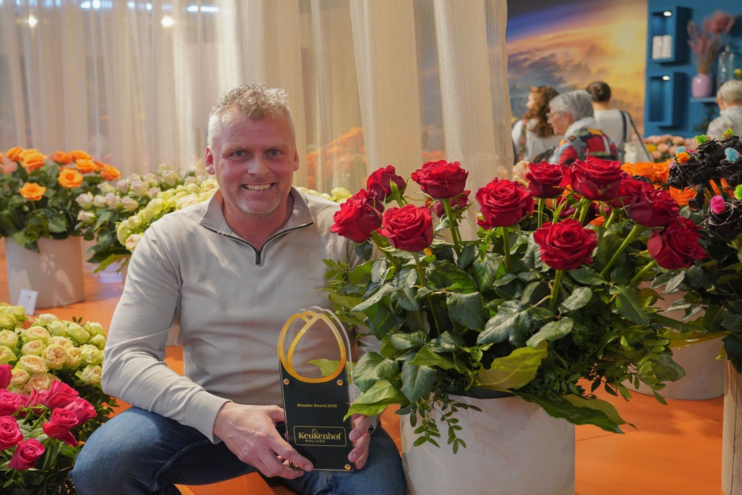 Winnaars vakkeuring handelskeuring Roos bekend gemaakt Keukenhof