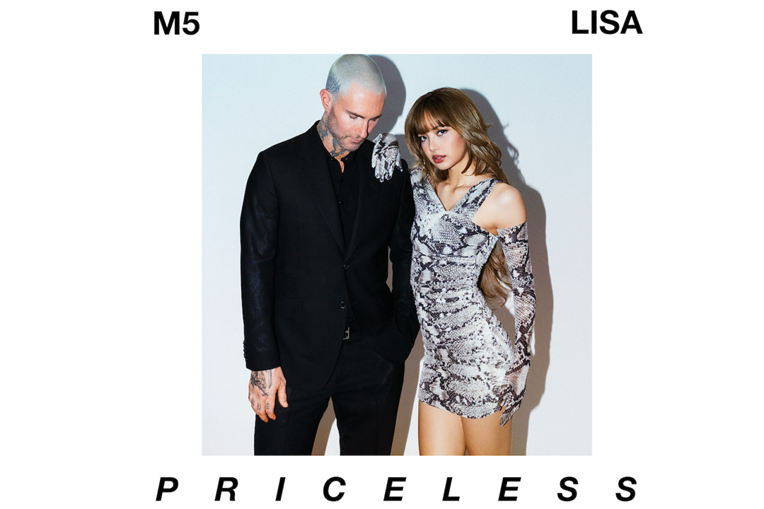 Flitsschijf 265: Maroon 5 & Lisa - Priceless