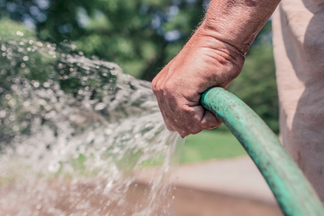 Droogte: tuinadvies nu verbod op tuinslangen dreigt