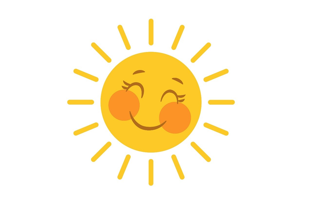 Zomer bij TOON