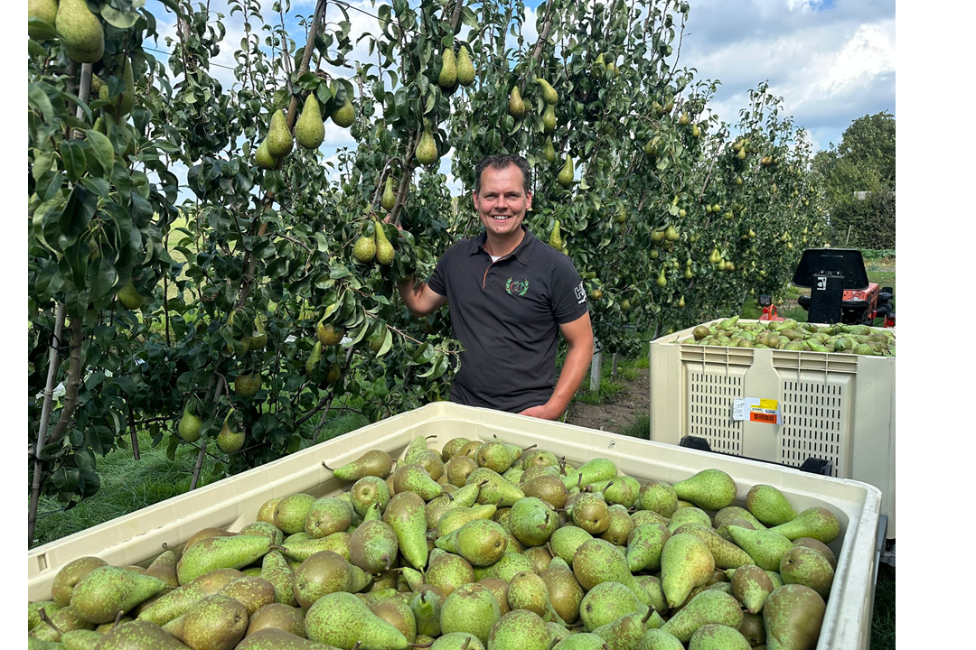 Pluktijd start in fruitgemeente Buren PCG wenst telers goede veilige oogsttijd
