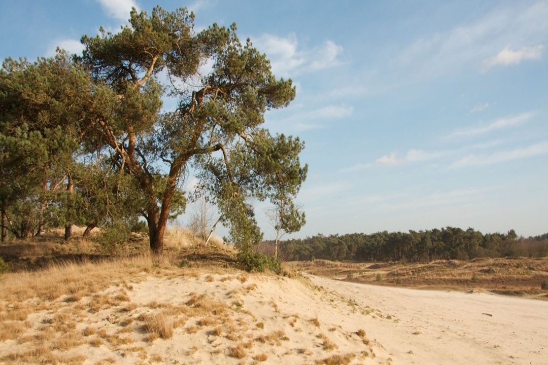 Wandelen met lotgenoten