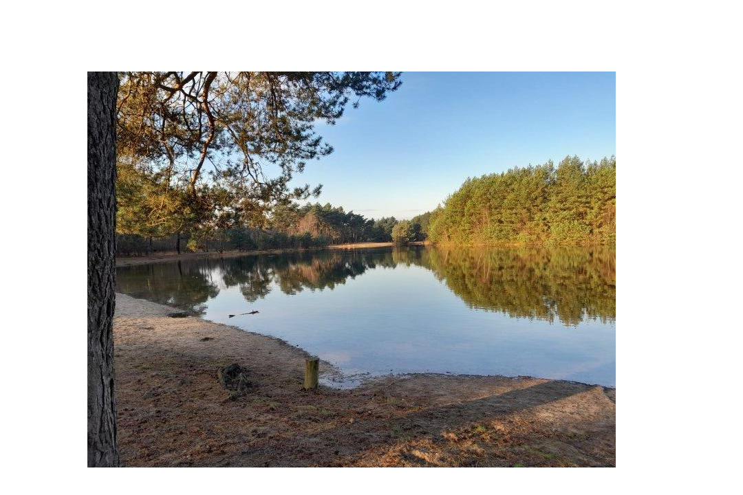 Herperduin wandeltocht