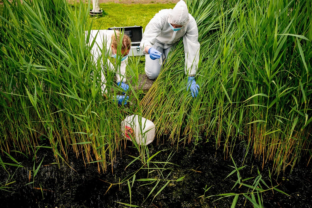 Van drugsresten tot koraalherstel: vier urgente onderzoeken starten bij HVHL
