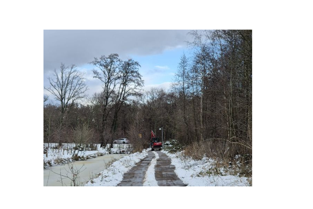 Keukenhof verbetert bosgebied in Lisse