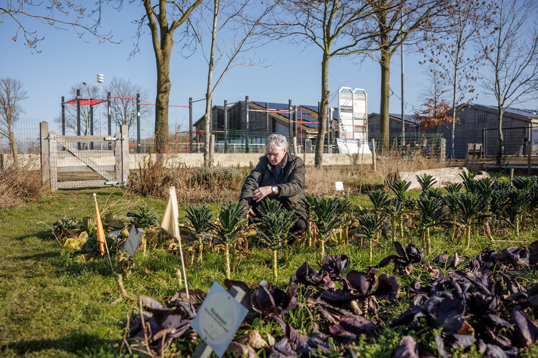 Buurtnatuur- en Buurtwaterfonds nu ook open voor verenigingen en publieke plekken