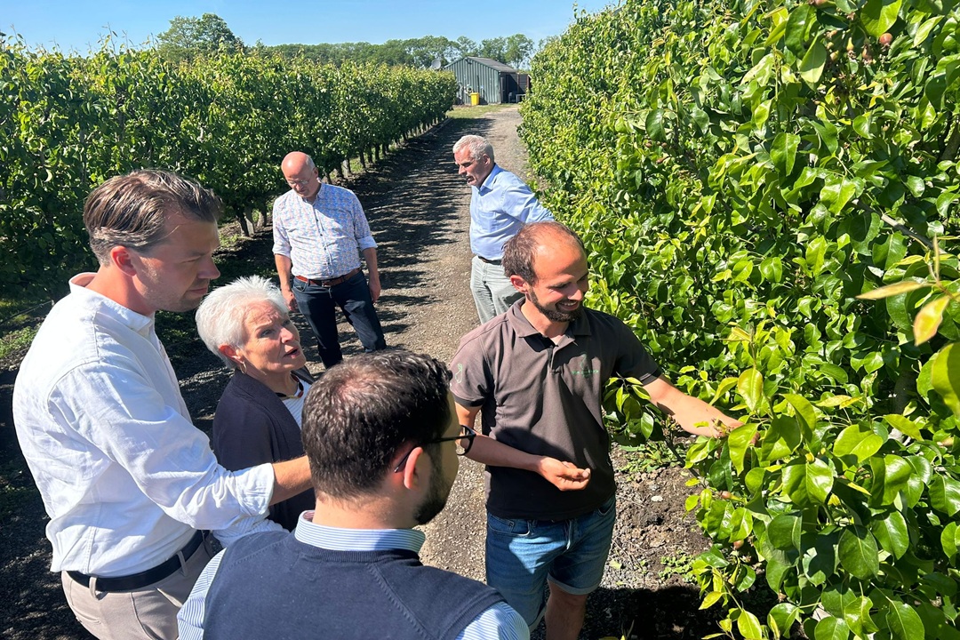 PCG Buren vraagt aandacht voor subsidie jonge landbouwers