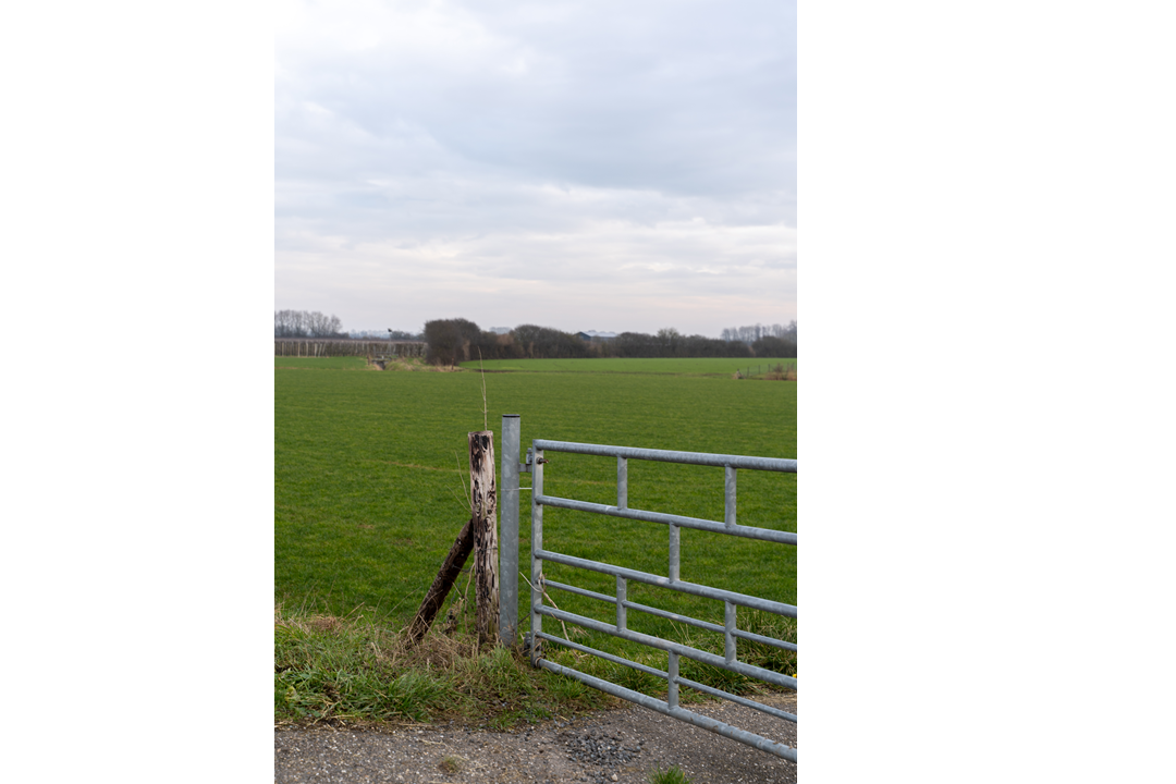 Buren verzoeken college om uitstel reactietermijn concept ontwerp omgevingsplan buitengebied