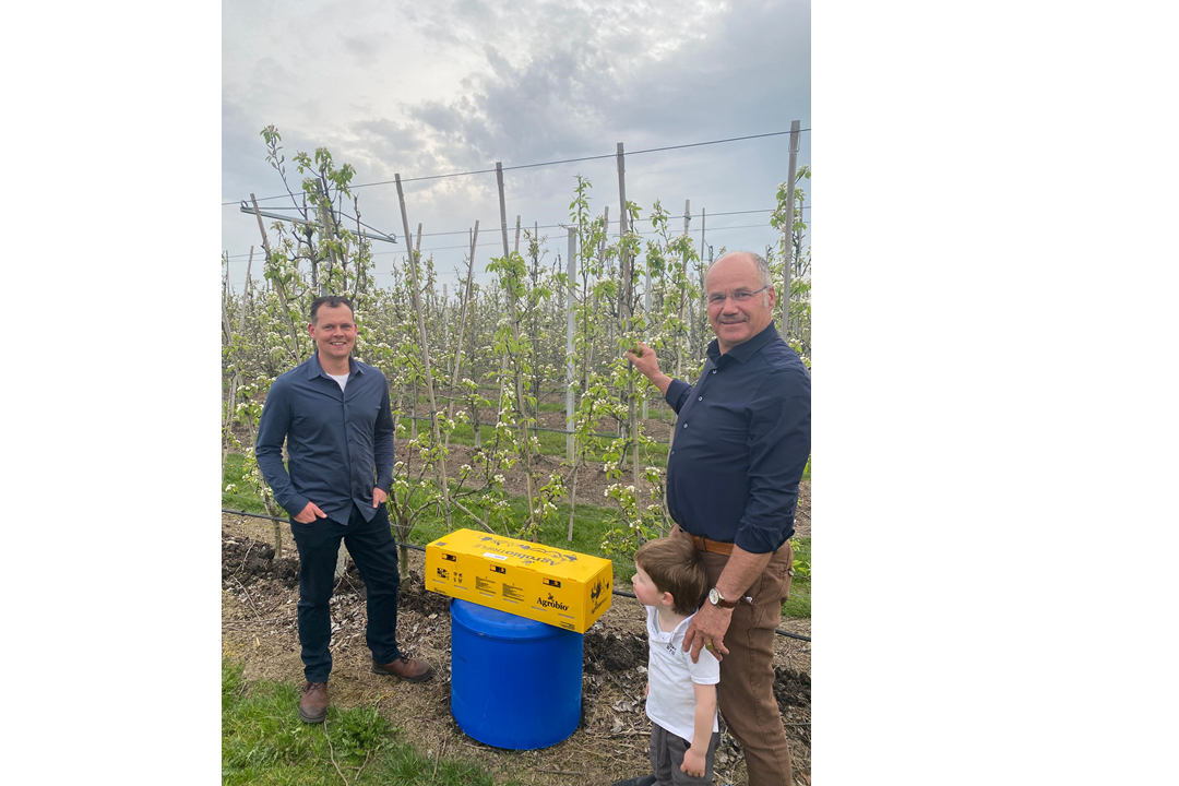 Aandacht voor biodiversiteit en bestuiving in de fruitsector