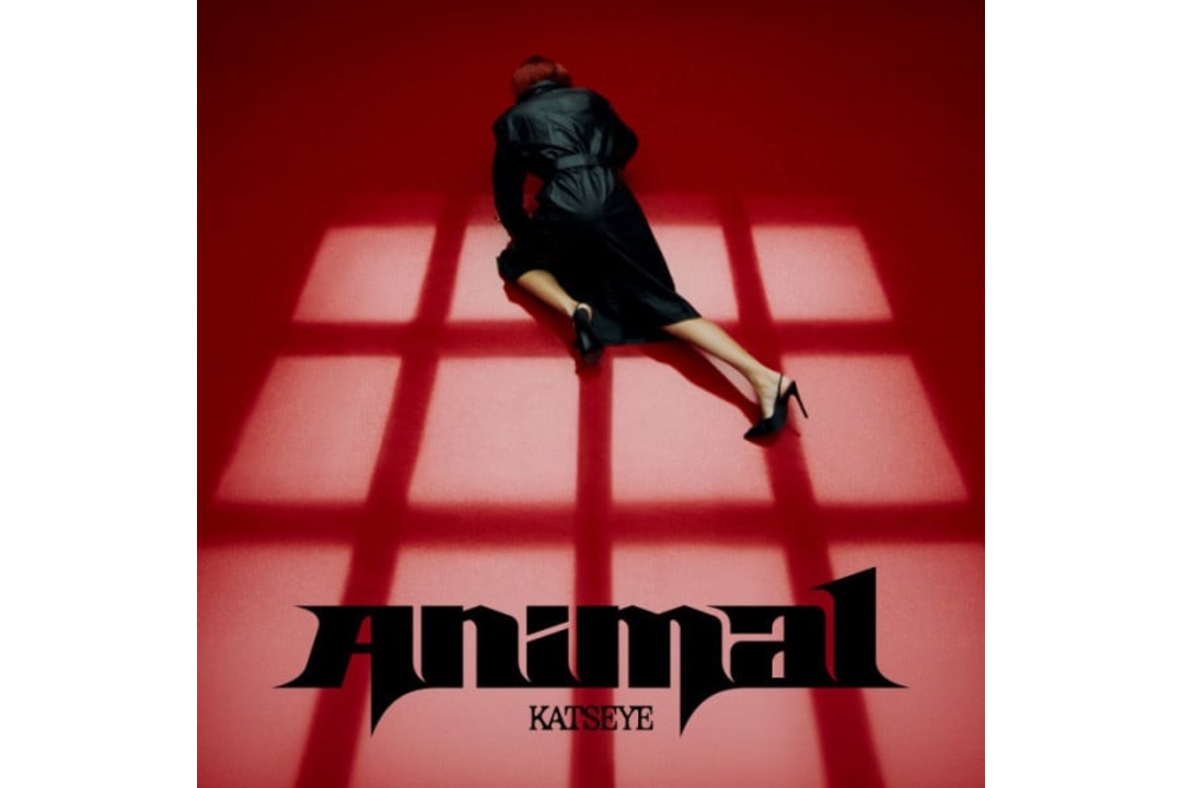 Flitsfeitje: Katseye - Animal
