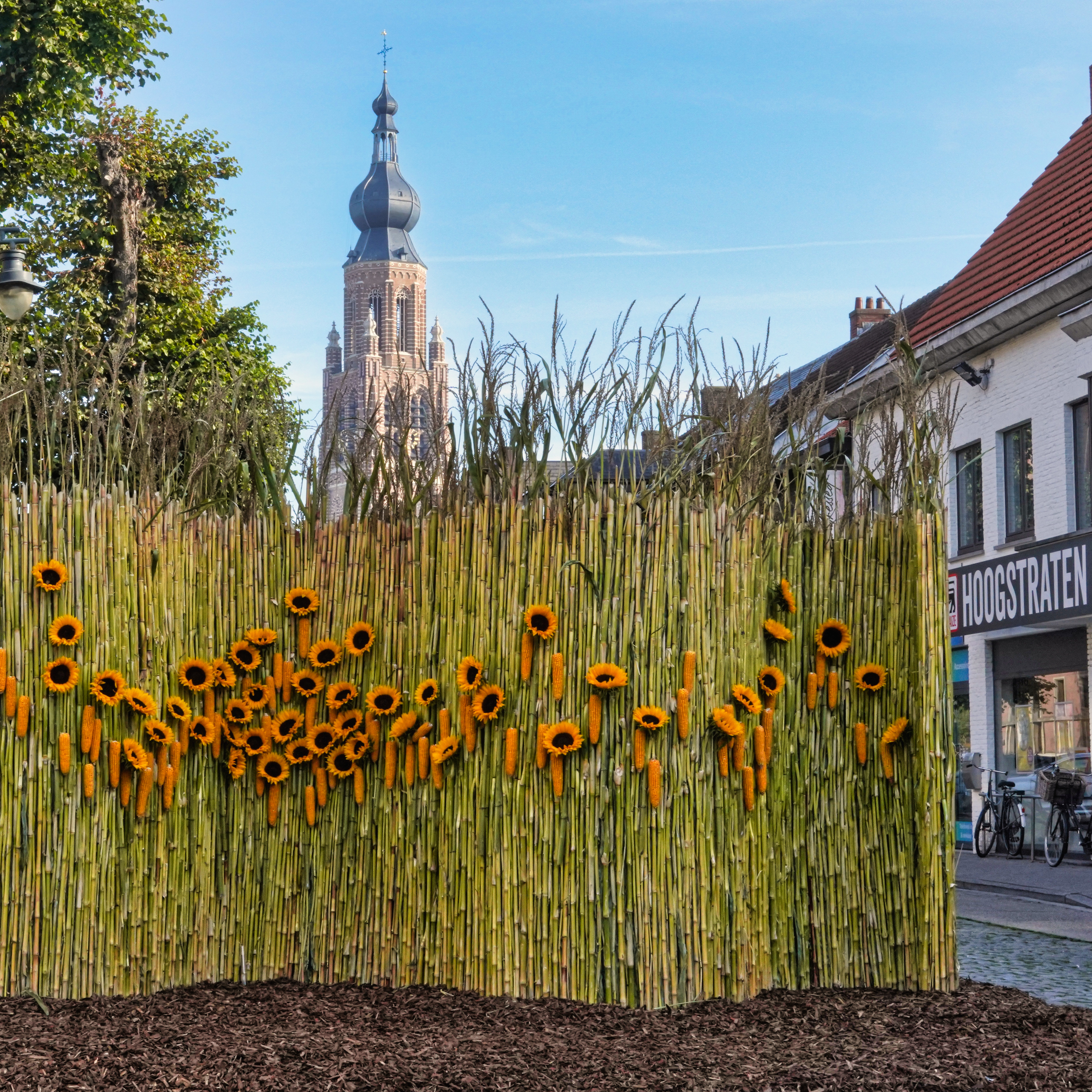Hoogstraten maakt zich op voor 27ste Groenten en Bloemen