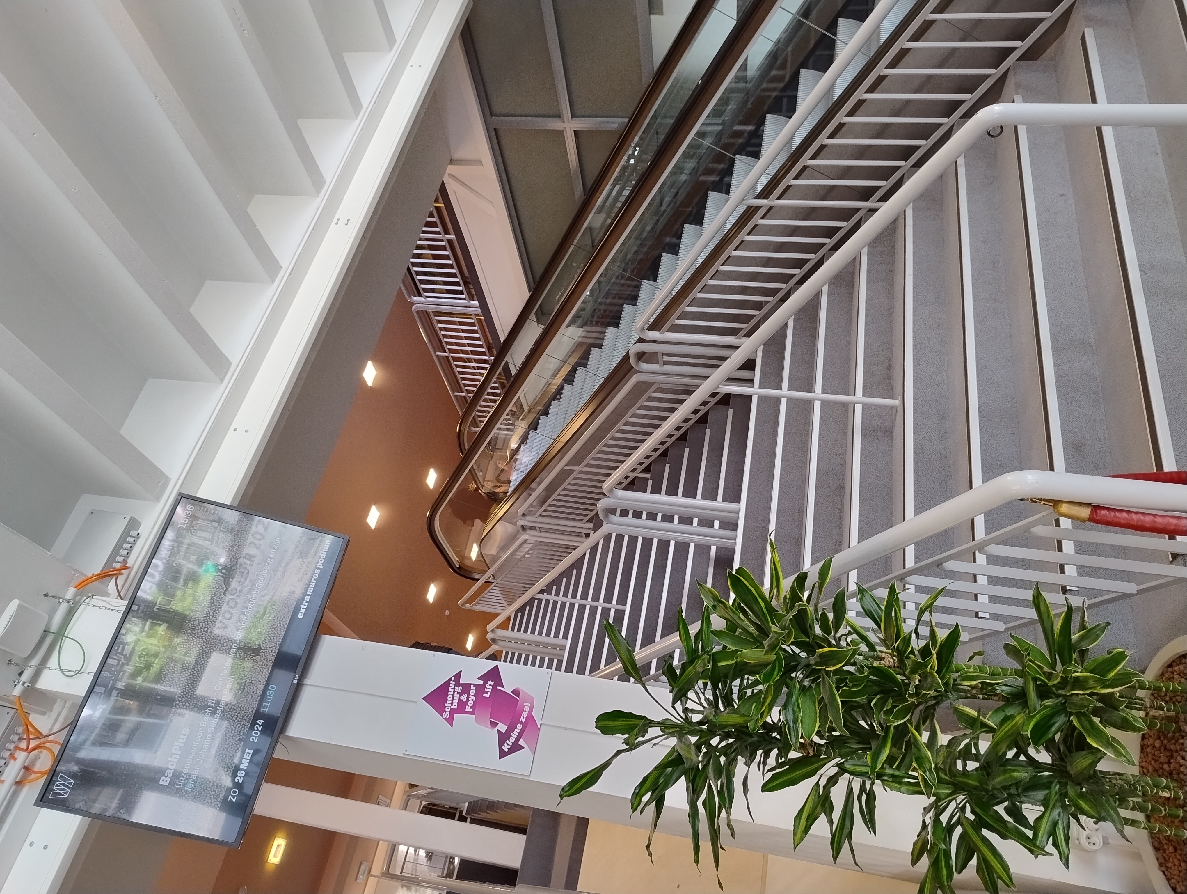 Foyer De Werf Aalst vernieuwd als ontmoetingsplek
